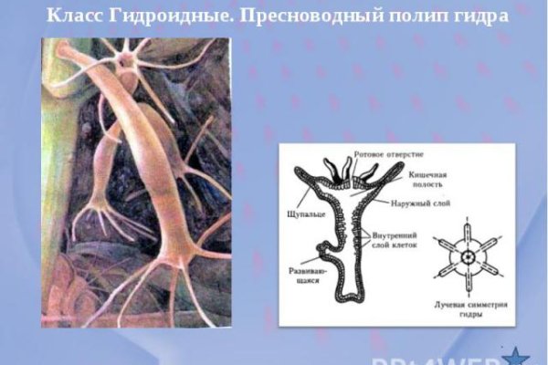 Как зайти на сайт blacksprut bs2web top