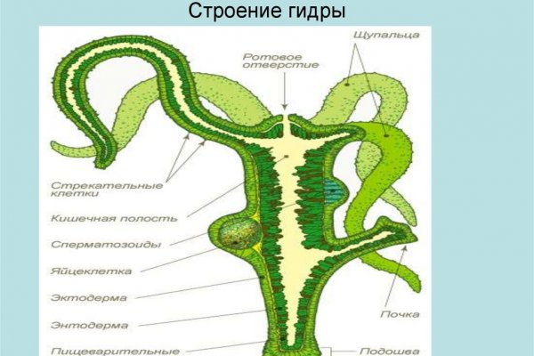 Сейфклад blacksprut adress com